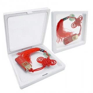 Transparent USB Display Casing 05