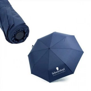 21'' Auto-Open Close 3 Fold Umbrella 09