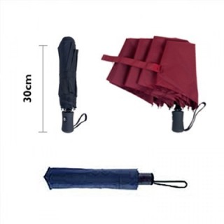 21'' Auto-Open Close 3 Fold Umbrella 10