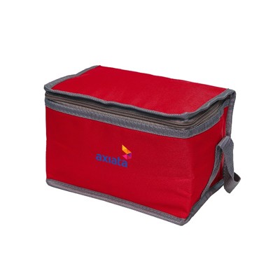Nylon Cooler and Warmer Bag 01
