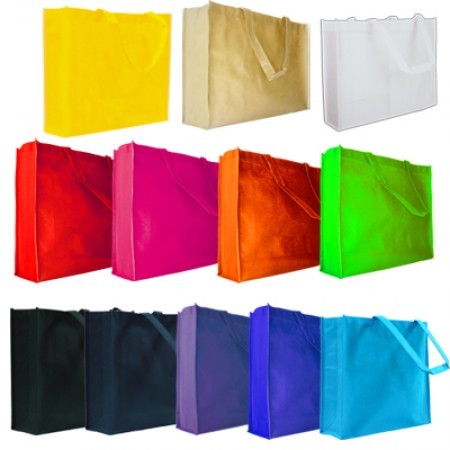 Assorted Non-Woven Eco Bag - 100gsm (412 x 312 x 100) 13