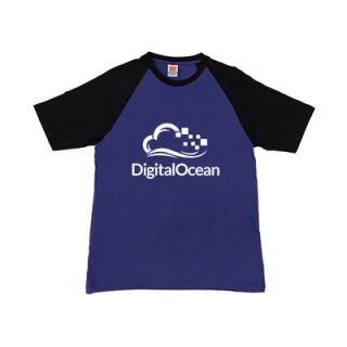 OS Comfy Cotton Raglan 160gsm T-Shirt 05