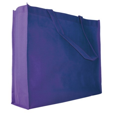 Assorted Non-Woven Eco Bag - 100gsm (412 x 312 x 100) 01