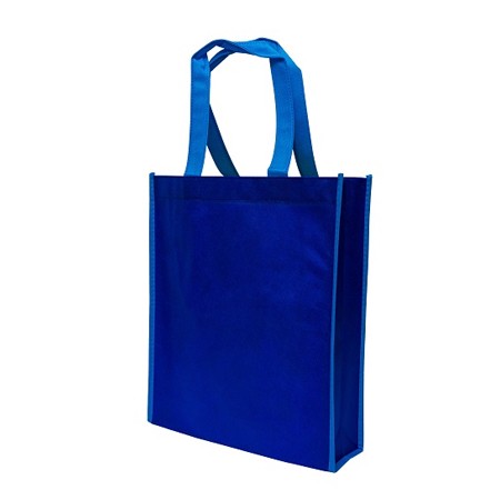 Non-Woven Bag Colour Lining 90gsm (330x280x90) 06