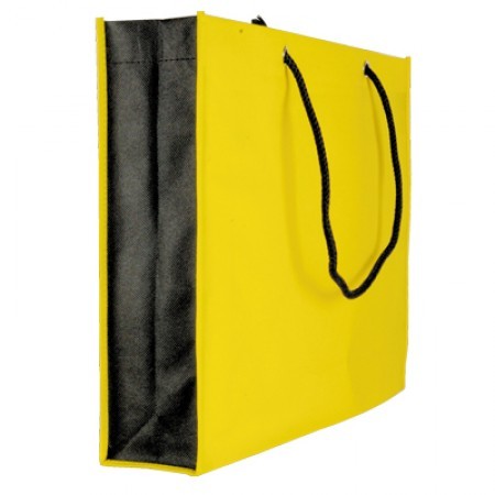 Striking Colour Non-Woven Bag - 100gsm (425x350x100) 06