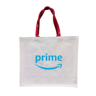 Color Handle Laminated Canvas Bag (400x350x160)