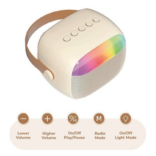 Portable Karaoke Bluetooth Speaker with Microphone 07
