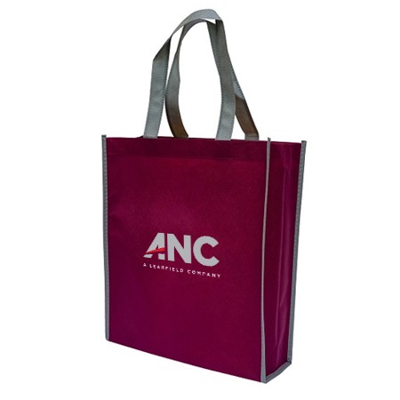 Non-Woven Bag Colour Lining 90gsm (330x280x90) 01