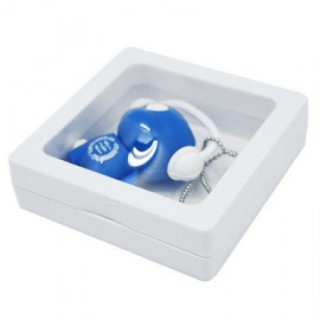 Transparent USB Display Casing 04