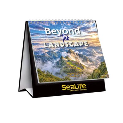 Beyond The Landscape Calendar 2027