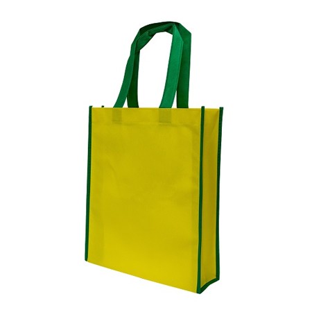 Non-Woven Bag Colour Lining 90gsm (330x280x90) 04