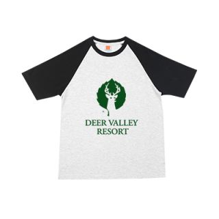 OS Comfy Cotton Raglan 160gsm T-Shirt 04