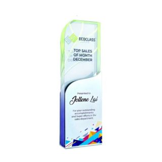 Clear acrylic award with a green tinted top and a curved white panel with colourful triangles, printed with a logo, a top sales title and a script name