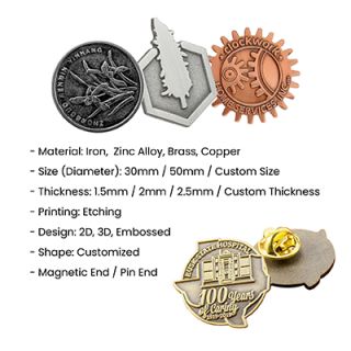 Custom Made Die Struck Collar Pin 09
