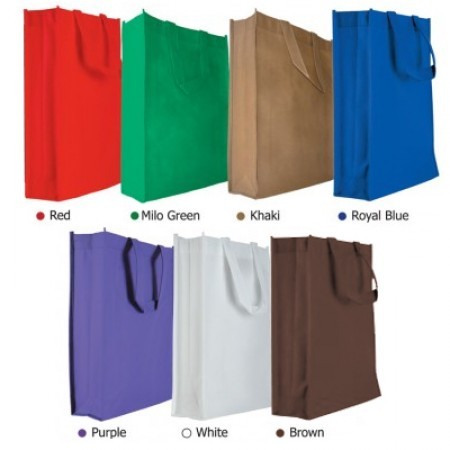 Non-Woven Bag Solid Color - 100gsm (330x250x75) 04
