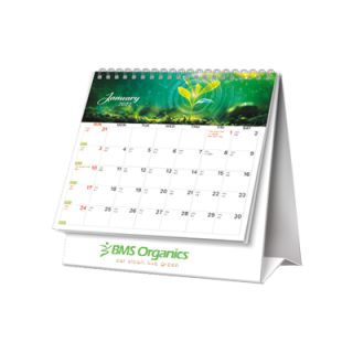Eco Vision Calendar 2027