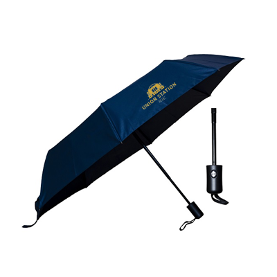 21" Auto Open Foldable Umbrella with Pouch 01