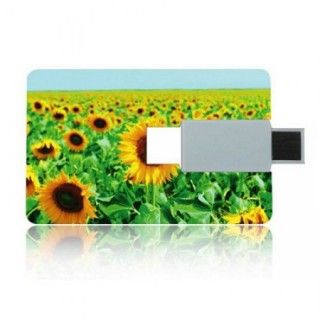 Custom Card USB Flash Drive - 4GB