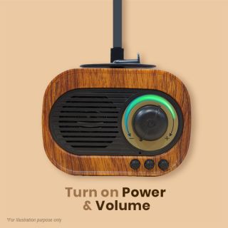 Gramophone Vintage Bluetooth Speaker with FM Radio - 1200mAh 03