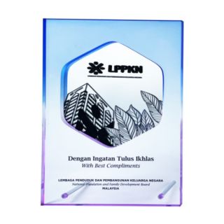 Innovative Plaque Series type 10 trophy