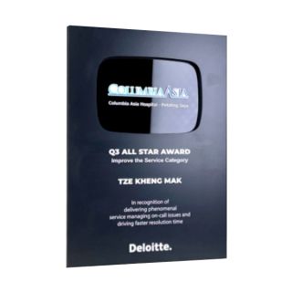 Innovative Plaque Series type 13 trophy