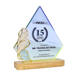 Innovative Plaque Series type 21 trophy