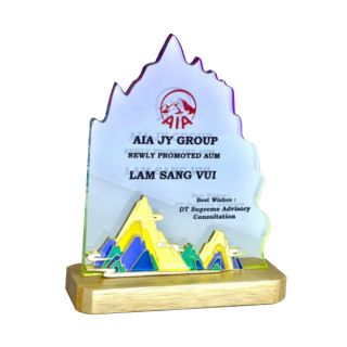 Innovative Plaque Series type 23 trophy