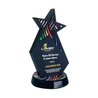 Innovative Plaque Series type 25 trophy