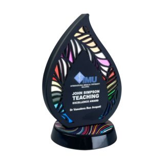 Innovative Plaque Series type 26 trophy