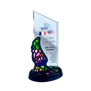 Innovative Plaque Series type 29 trophy
