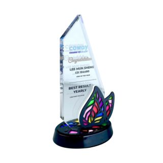 Innovative Plaque Series type 31 trophy