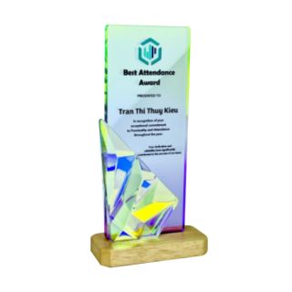 Innovative Plaque Series type 38 trophy