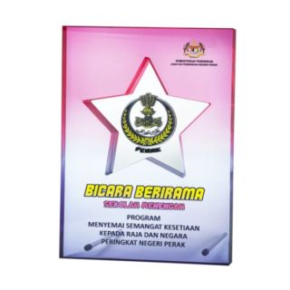 Innovative Plaque Series type 6 trophy
