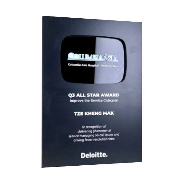 Innovative Plaque Series type 13 trophy