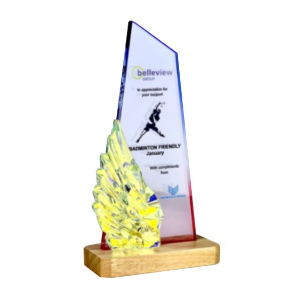 Innovative Plaque Series type 37 trophy