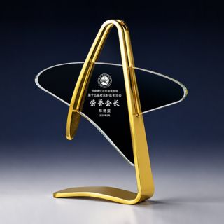 Metal Crystal Series type 2 Trophy 02