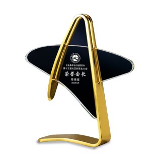 Metal Crystal Series type 2 Trophy 01