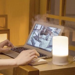 MIST Aromatherapy Humidifier Diffuser with LED 09