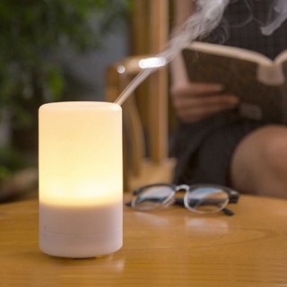 MIST Aromatherapy Humidifier Diffuser with LED 10
