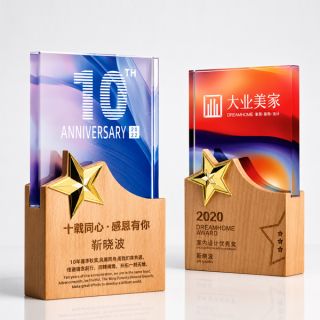Wooden Crystal Series type 1 Trophy 02