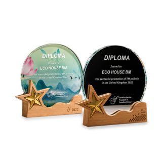 Wooden Crystal Series type 2 Trophy 01